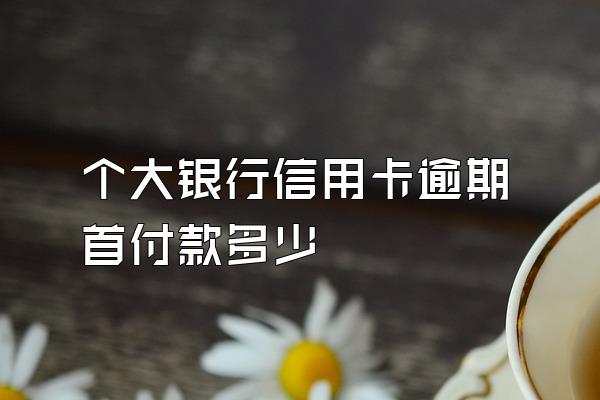 个大银行信用卡逾期首付款多少