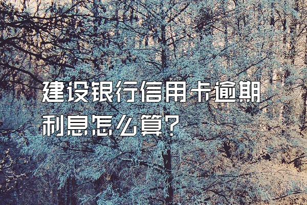 建设银行信用卡逾期利息怎么算？
