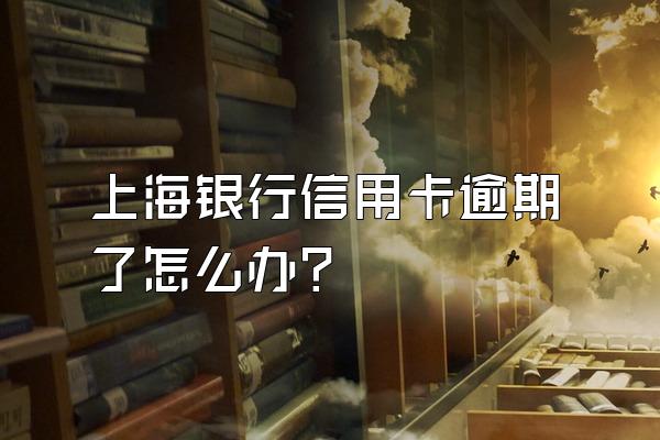 上海银行信用卡逾期了怎么办？