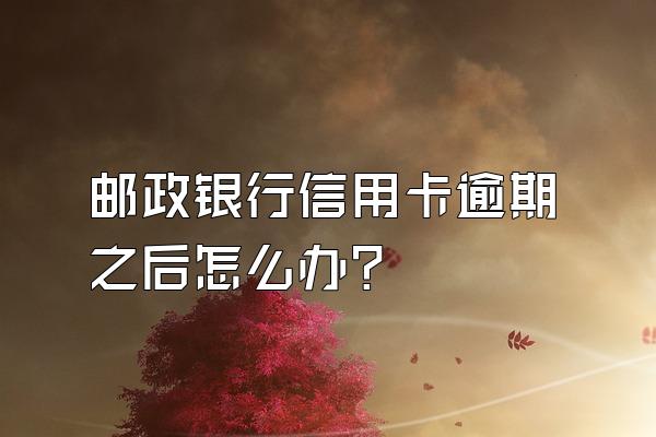 邮政银行信用卡逾期之后怎么办？