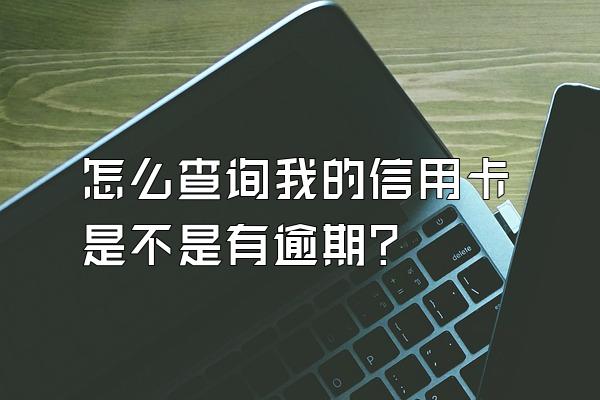 怎么查询我的信用卡是不是有逾期？