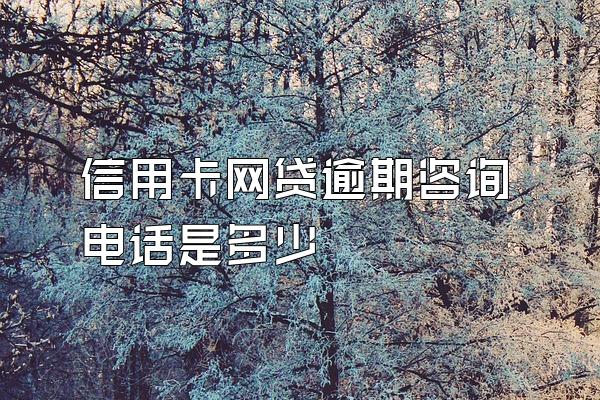 信用卡网贷逾期咨询电话是多少