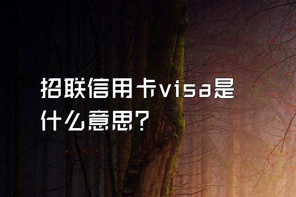 招联信用卡visa是什么意思？