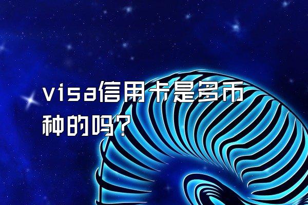 visa信用卡是多币种的吗？