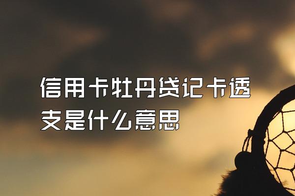 信用卡牡丹贷记卡透支是什么意思