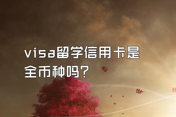 visa留学信用卡是全币种吗？