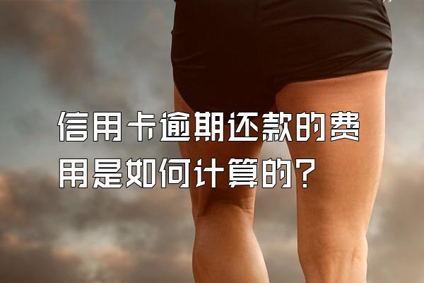信用卡逾期还款的费用是如何计算的？