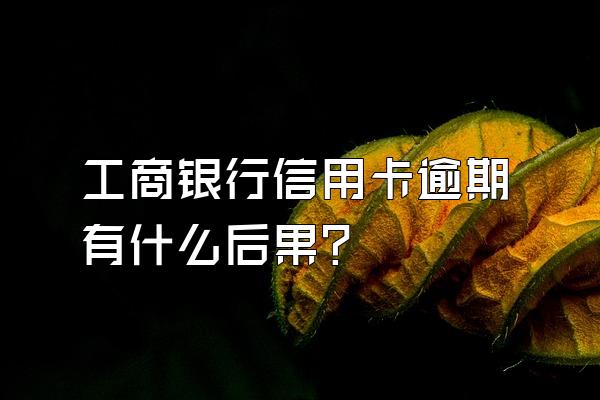 工商银行信用卡逾期有什么后果？
