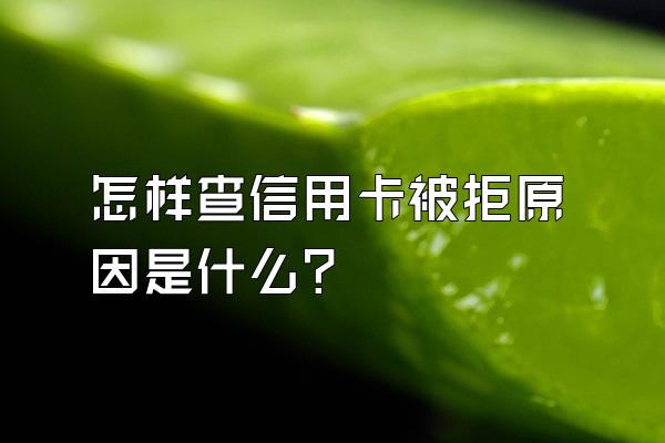 怎样查信用卡被拒原因是什么？