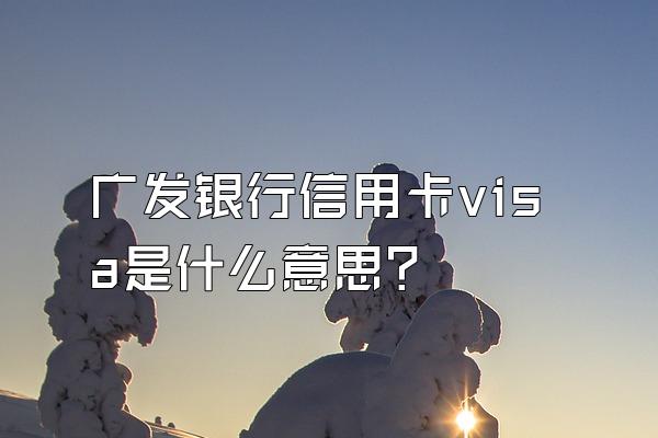广发银行信用卡visa是什么意思？