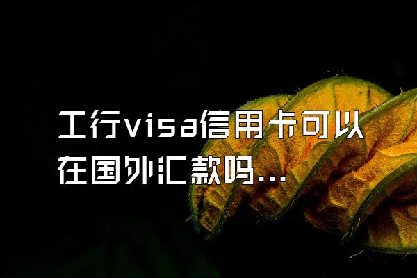 工行visa信用卡可以在国外汇款吗？