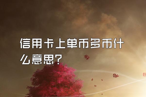 信用卡上单币多币什么意思？