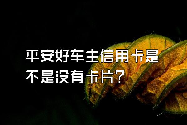 平安好车主信用卡是不是没有卡片？