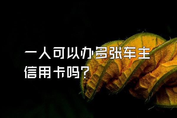一人可以办多张车主信用卡吗？