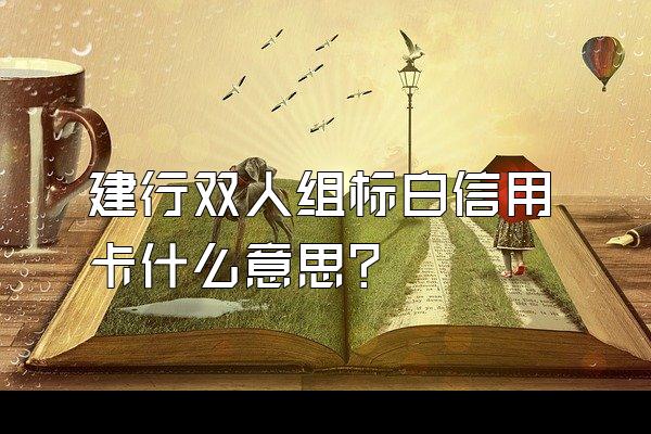 建行双人组标白信用卡什么意思？