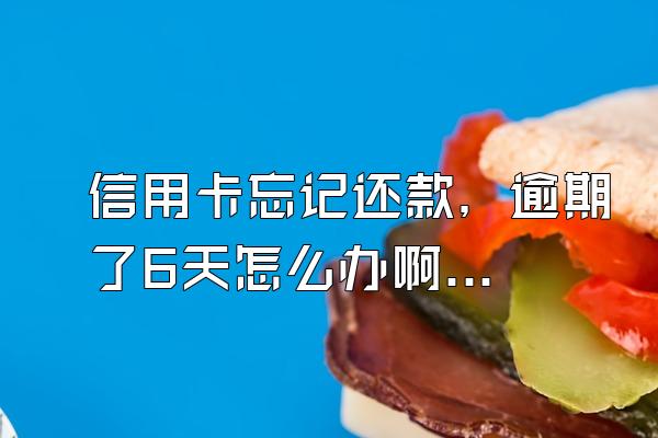 信用卡忘记还款，逾期了6天怎么办啊？