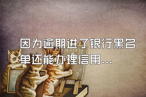 因为逾期进了银行黑名单还能办理信用卡吗？