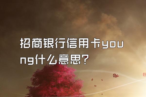 招商银行信用卡young什么意思？