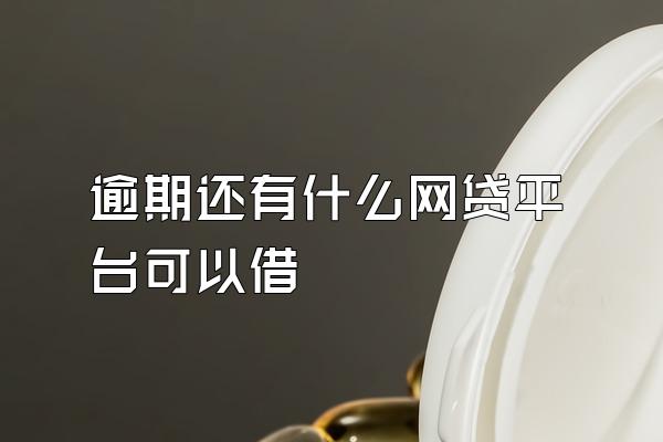 逾期还有什么网贷平台可以借