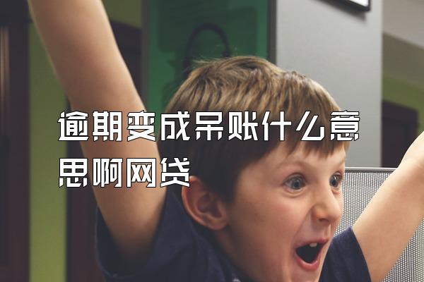 逾期变成呆账什么意思啊网贷