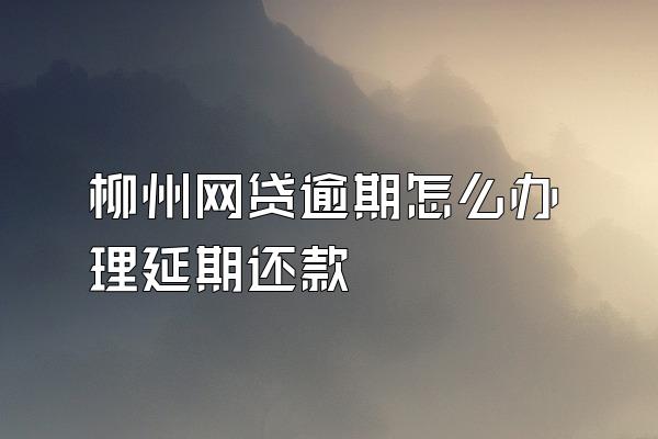 柳州网贷逾期怎么办理延期还款