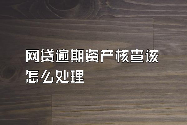 网贷逾期资产核查该怎么处理