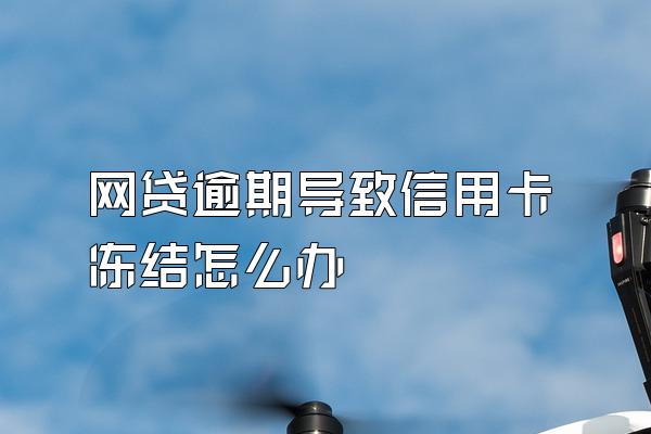 网贷逾期导致信用卡冻结怎么办