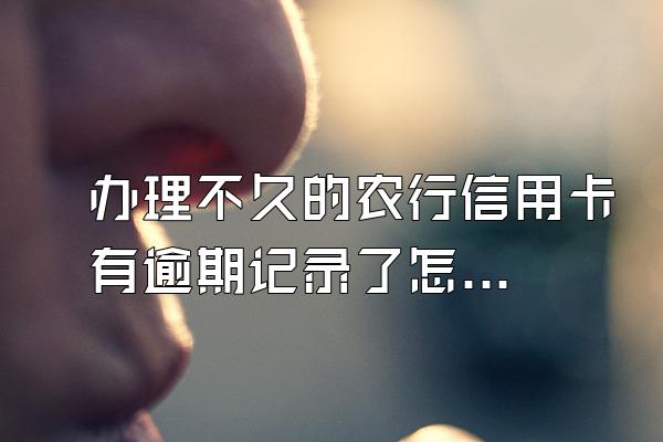 办理不久的农行信用卡有逾期记录了怎么办？