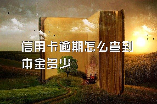 信用卡逾期怎么查到本金多少