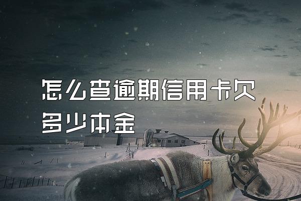 怎么查逾期信用卡欠多少本金