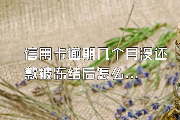 信用卡逾期几个月没还款被冻结后怎么解冻？