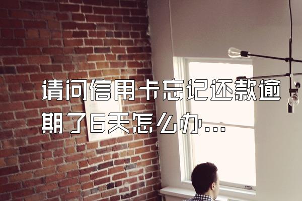 请问信用卡忘记还款逾期了6天怎么办啊？