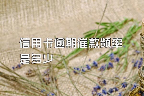 信用卡逾期催款频率是多少