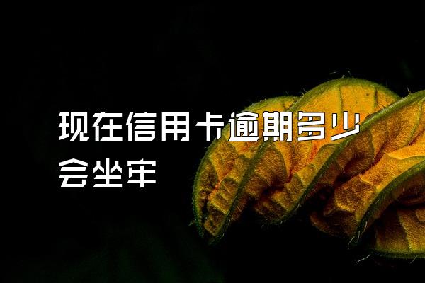 现在信用卡逾期多少会坐牢