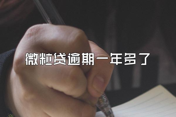 微粒贷逾期一年多了
