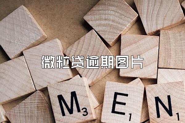 微粒贷逾期图片