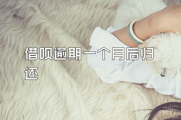 借呗逾期一个月后归还