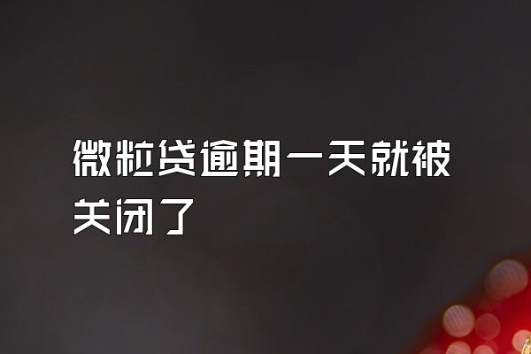 微粒贷逾期一天就被关闭了