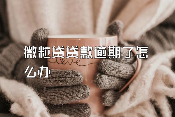 微粒贷贷款逾期了怎么办