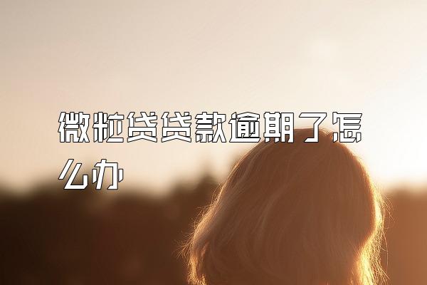 微粒贷贷款逾期了怎么办