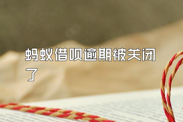 蚂蚁借呗逾期被关闭了