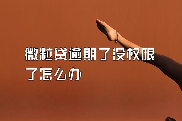 微粒贷逾期了没权限了怎么办
