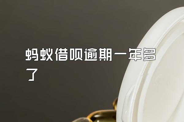 蚂蚁借呗逾期一年多了