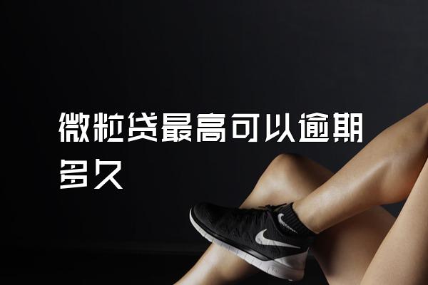 微粒贷最高可以逾期多久