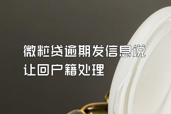 微粒贷逾期发信息说让回户籍处理