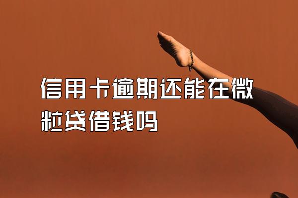 信用卡逾期还能在微粒贷借钱吗