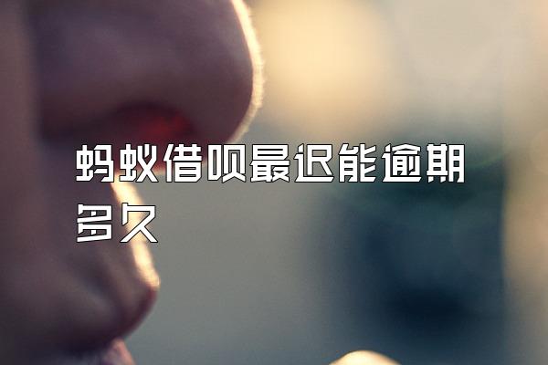 蚂蚁借呗最迟能逾期多久