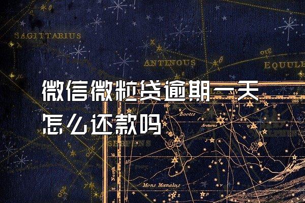 微信微粒贷逾期一天怎么还款吗
