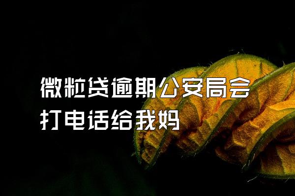 微粒贷逾期公安局会打电话给我妈