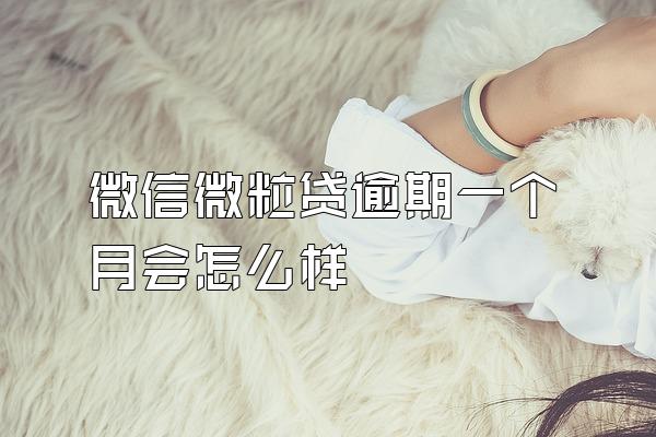 微信微粒贷逾期一个月会怎么样
